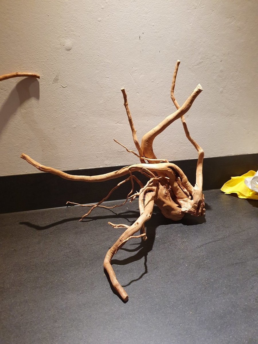 20191230_172318.jpg