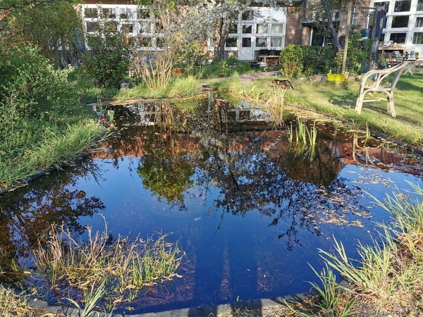 2020-04-17 08.54.10.jpg