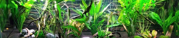 2020-06-22 09.09.48-1.jpg