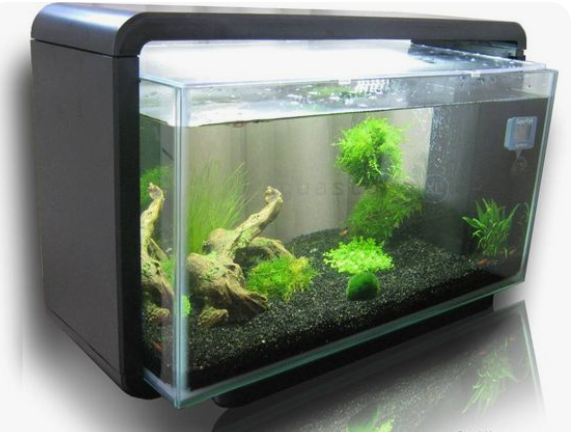 2020-09-16 20_30_11-(222) Pinterest.png