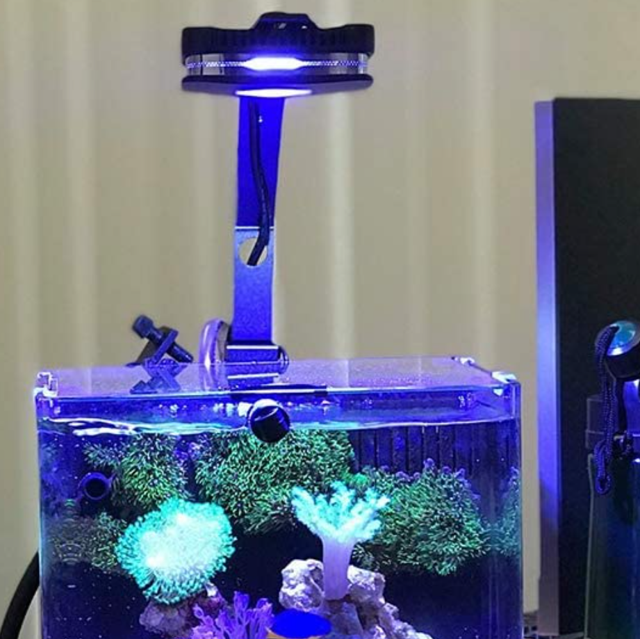 doe alstublieft niet schelp maïs aquarium led lamp met beugel | AquaForum