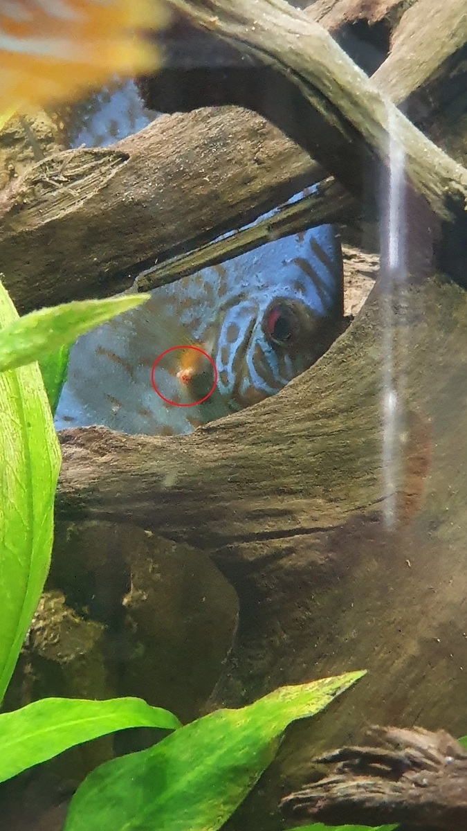 20200506_103457.jpg