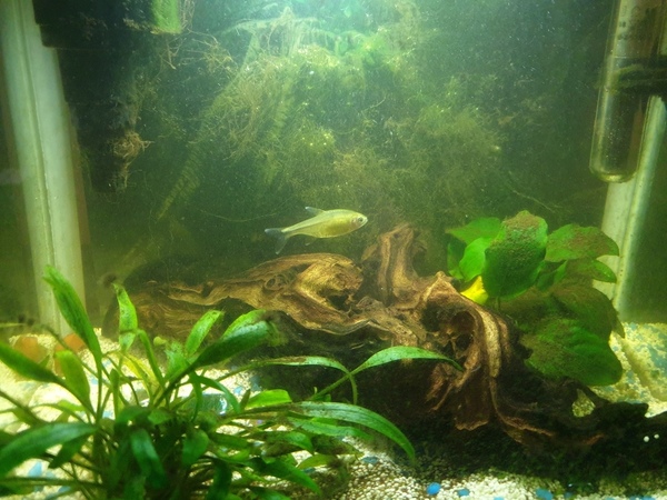20200716_162448.jpg
