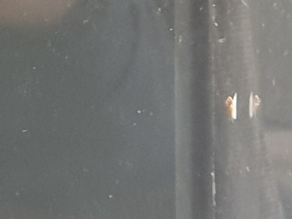 20200722_171710.jpg