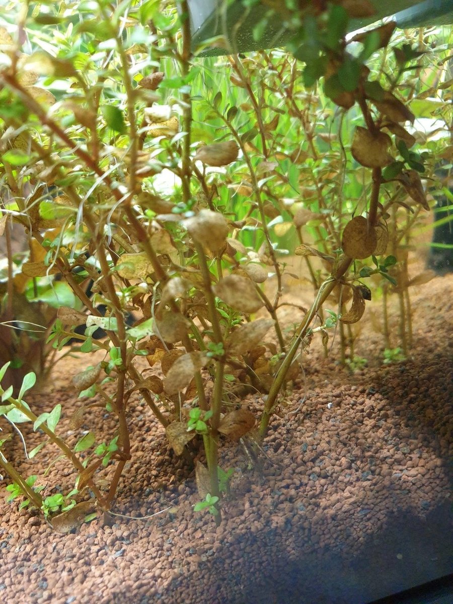 20200727_205531.jpg
