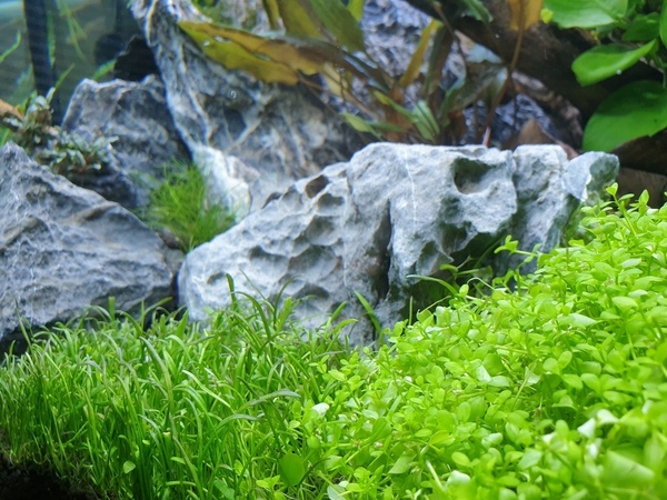 20200729_202715.jpg