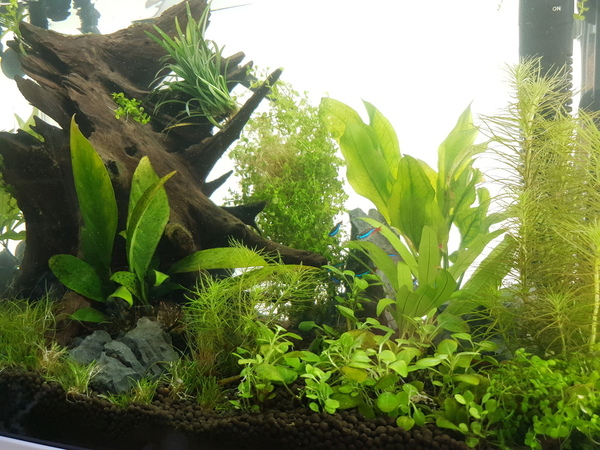 20200802_162507.jpg