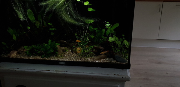 20200803_165425.jpg
