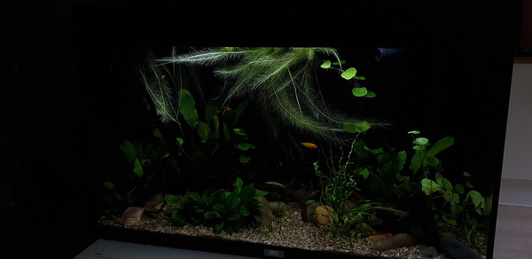 20200803_165437.jpg