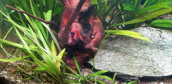 20200806_155209.jpg