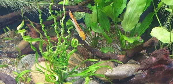 20200806_155700.jpg