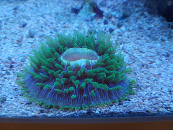 20200809_121452.jpg