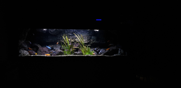 20200809_214221.jpg