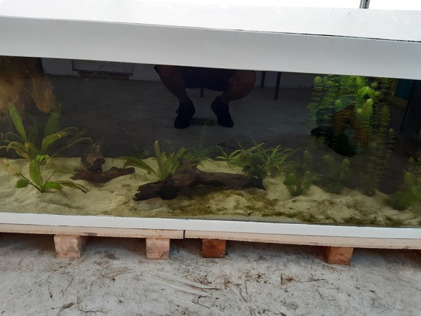 Aquarium maken vissen van buiten op te vangen | AquaForum