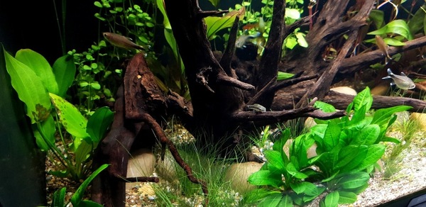 20200827_184419.jpg
