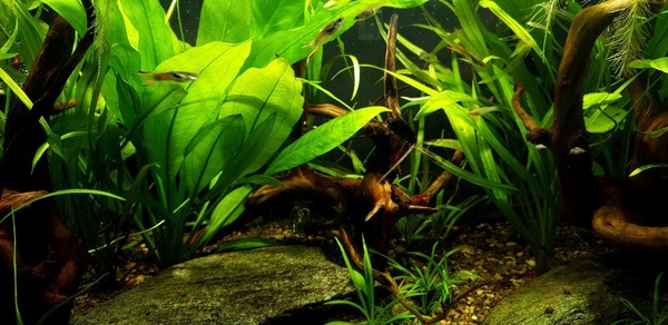 20200830_134757.jpg