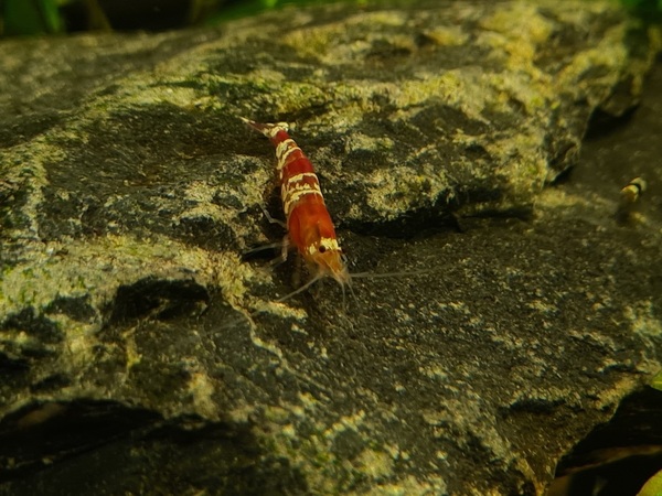 20200830_153135.jpg