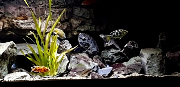 20200831_222925.jpg