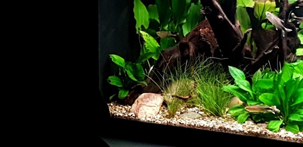 20200902_202318.jpg