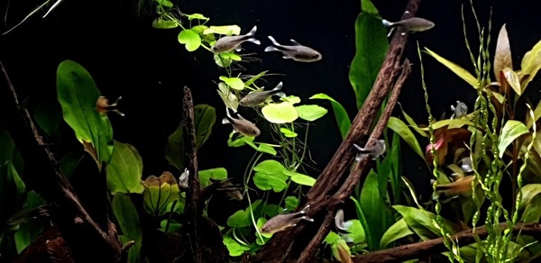 20200902_202335.jpg
