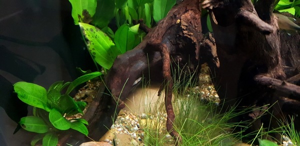 20200904_144723.jpg