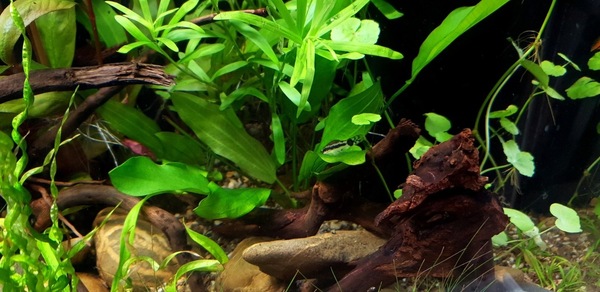 20200904_144731.jpg