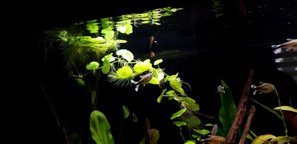 20200904_144803.jpg