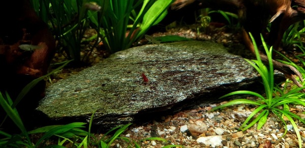 20200904_145239.jpg