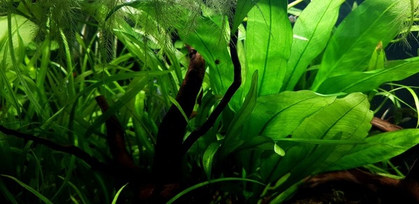 20200904_145259.jpg