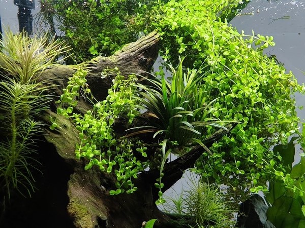 20200905_170423.jpg