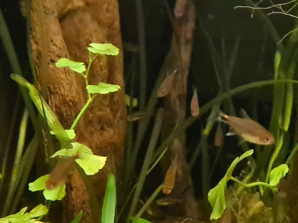 20200906_214911.jpg