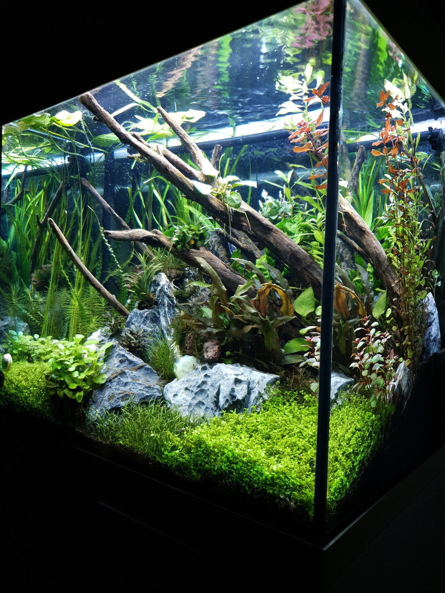 20200907_201758.jpg