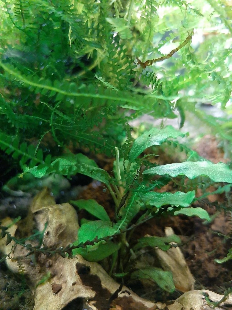 20200911_160915.jpeg