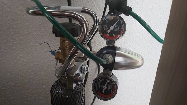 20200917_151037.jpg