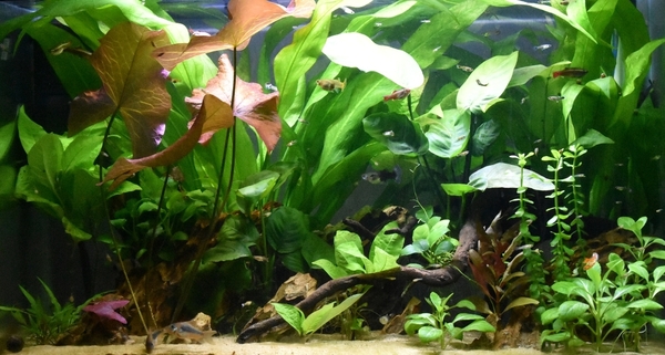 20200917_230816.jpg