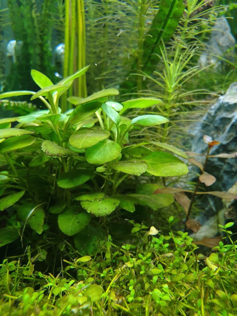 20200921_202607.jpg