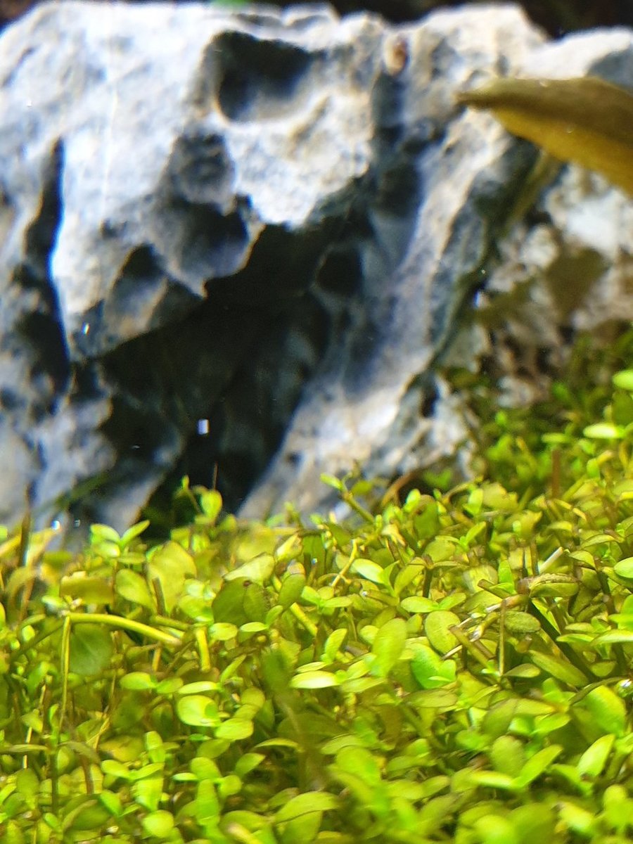20200921_202808.jpg