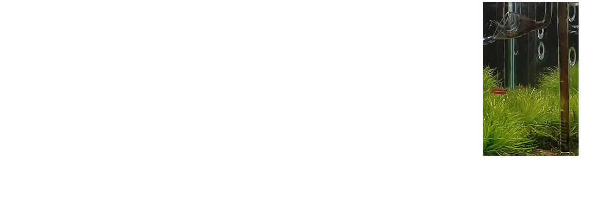 20200927_023957.png