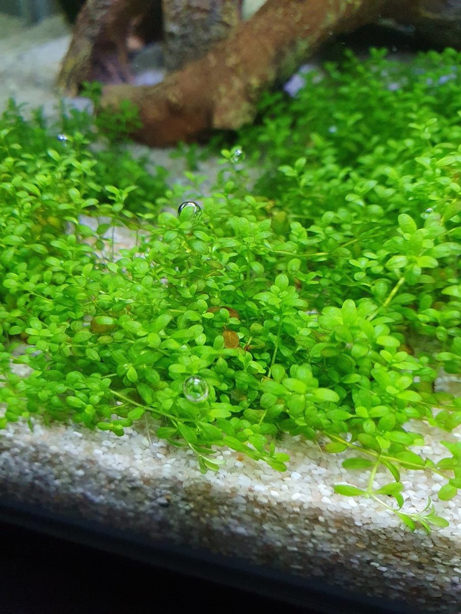 20200929_184706.jpg