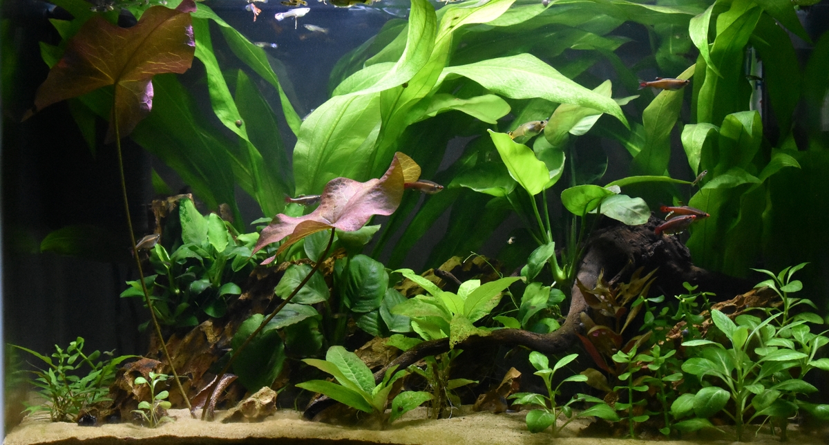 20201001_222521.jpg