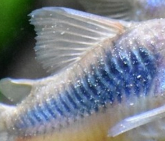 20201003_083113.jpg