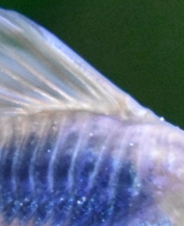 20201003_083139.jpg