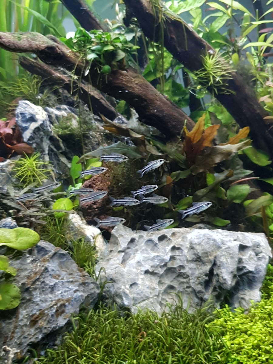 20201007_191009(0).jpg