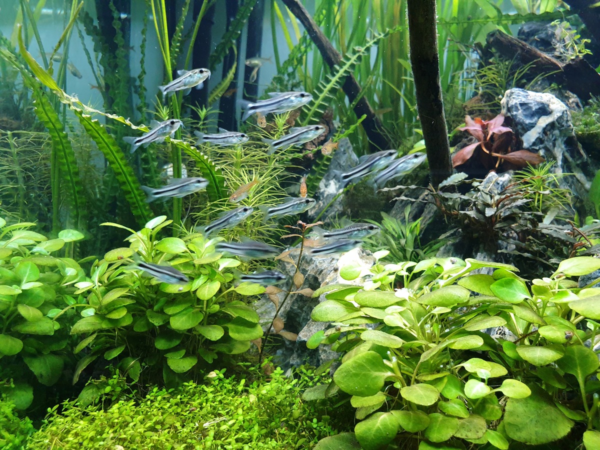 20201007_195038.jpg