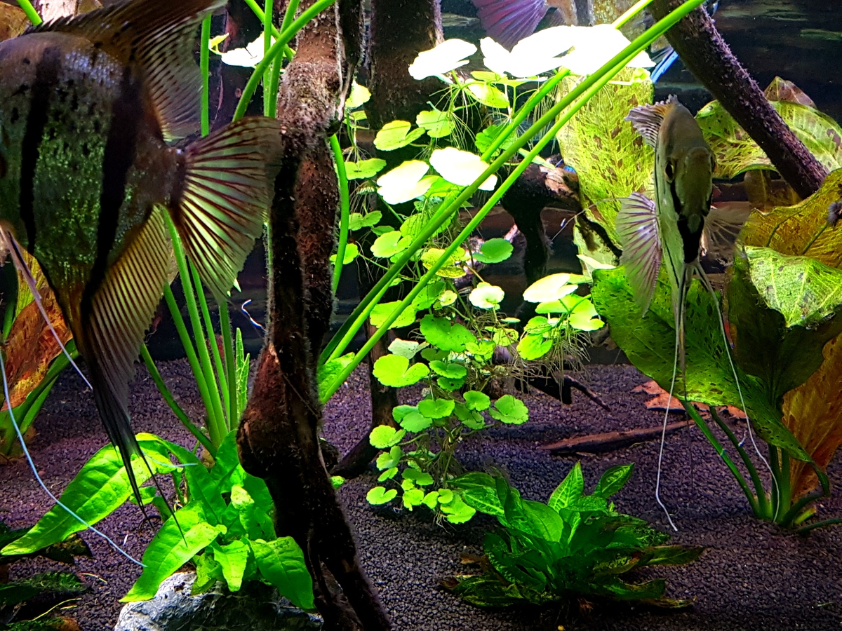 20201008_090054.jpg