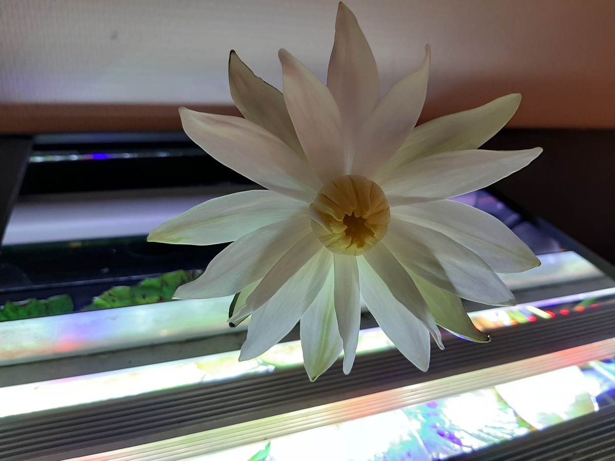 20201009_200235.jpg