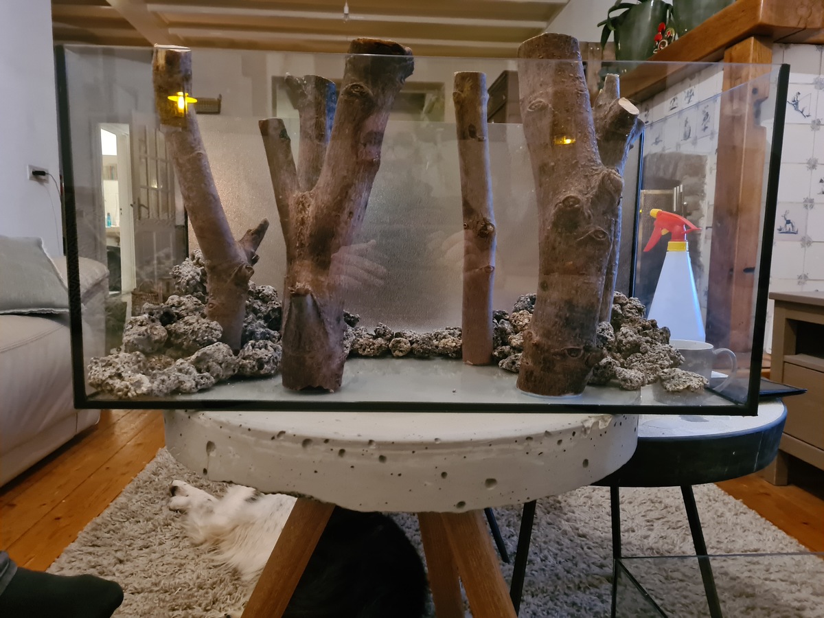 20201009_213853.jpg