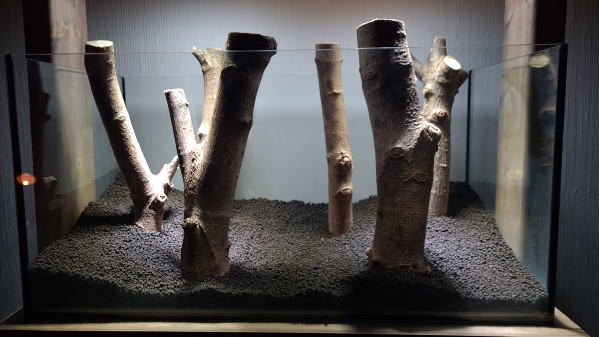 20201009_220633.jpg