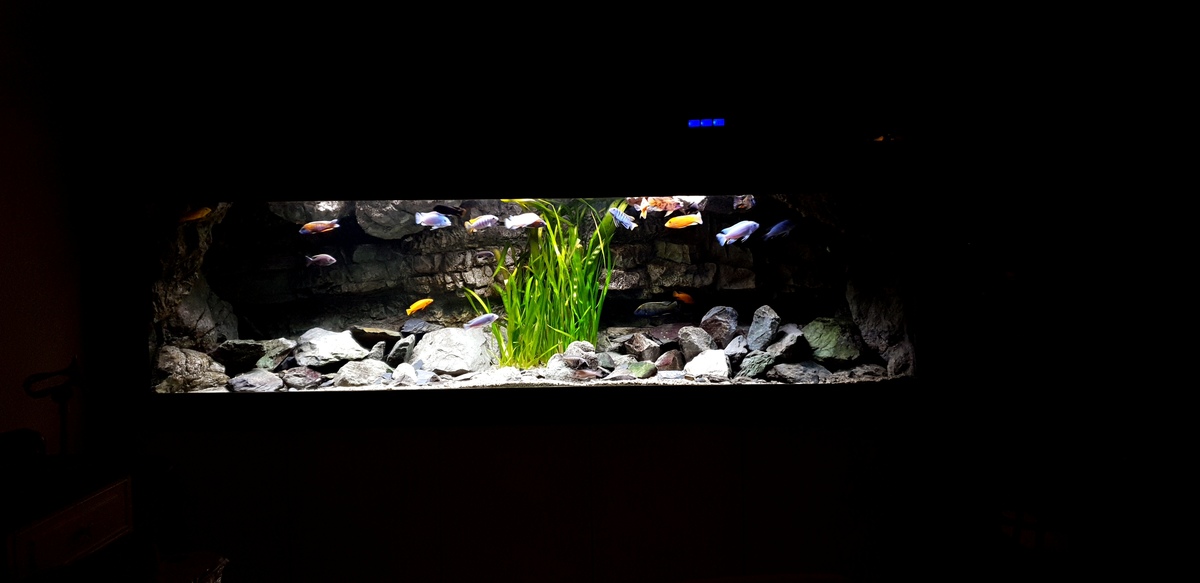20201014_192036.jpg