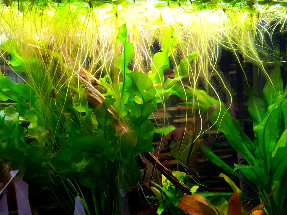 20201024_092900.jpg